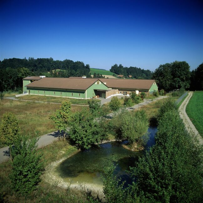 Sanierung Institut für Virologie und Immunologie (IVI) riesening